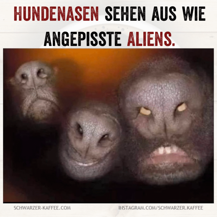 Schwarzer-kaffee-1760119470537-scaled