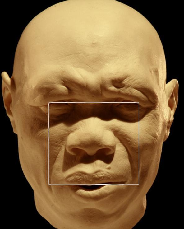 BigfootFaceProporz007Sapiens1100