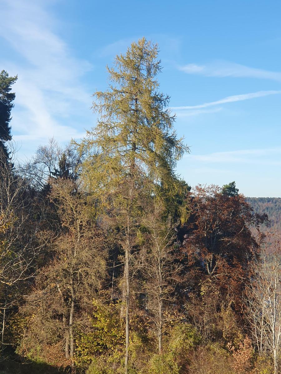 17625249889112151729270000049486