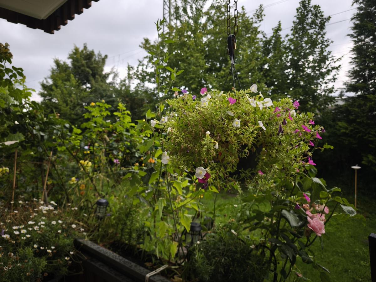 IMG 20250726 143731