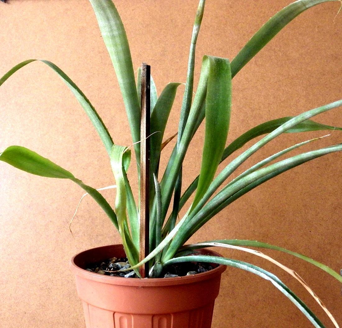 IMGP0901