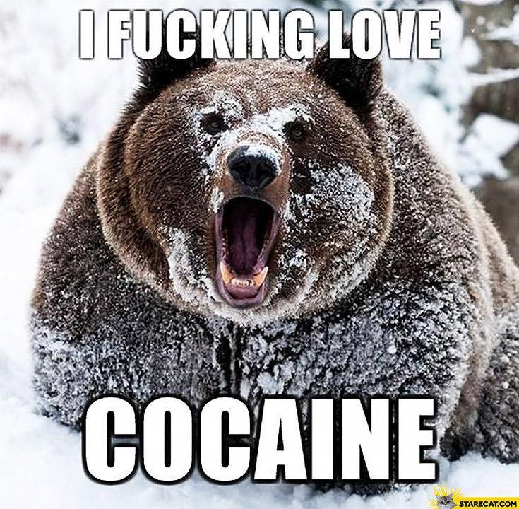 i-fucking-love-cocaine-bear