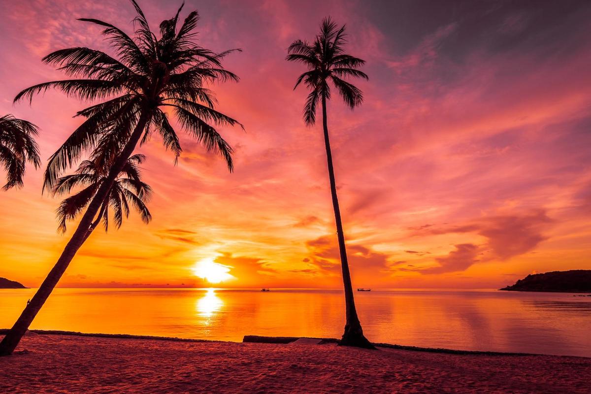 sunset-time-tropical-beach-sea-with-coco