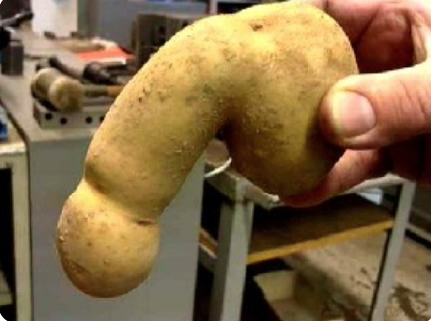 Kartoffelpenis