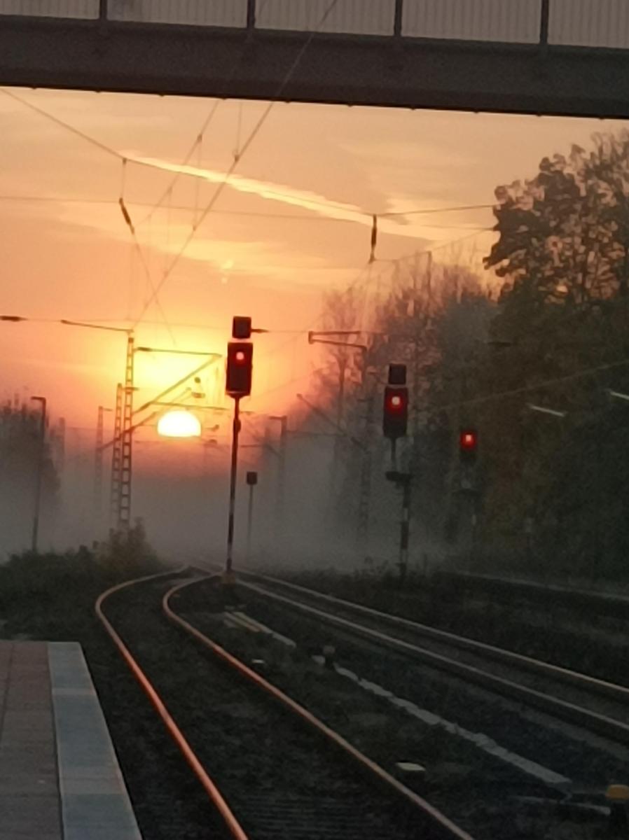 IMG 20251106 073336