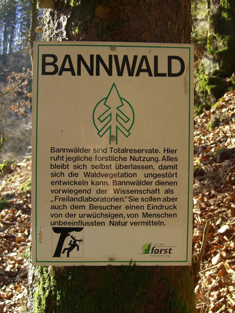 Schwarzwald-Bannwald