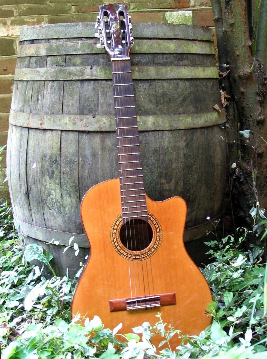 Fass Gitarre