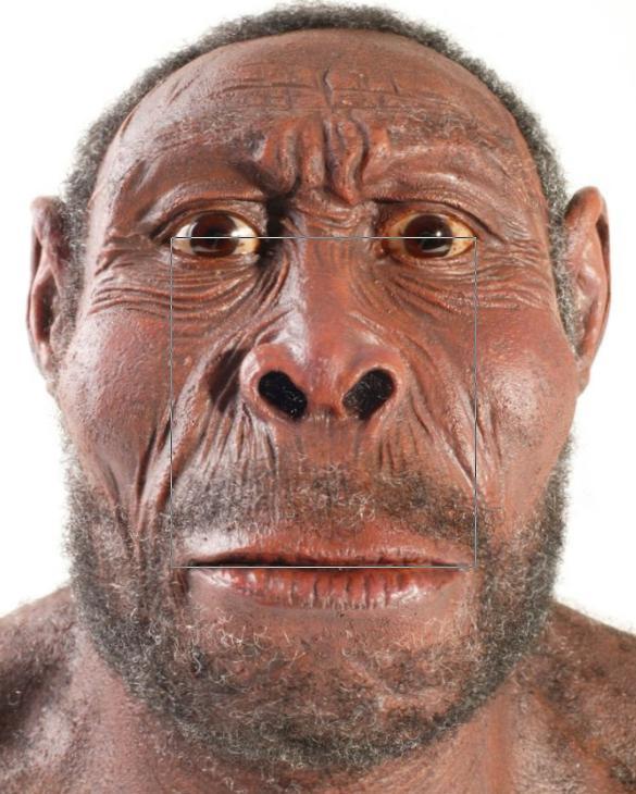 BigfootFaceProporz005Erectus0925