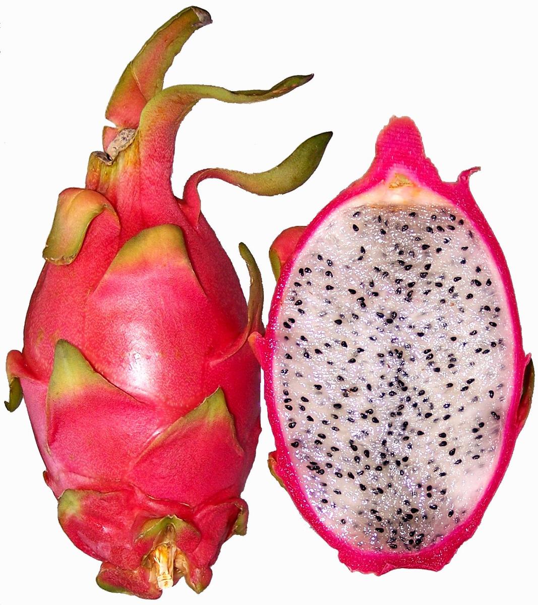 Hylocereus undatus red pitahaya