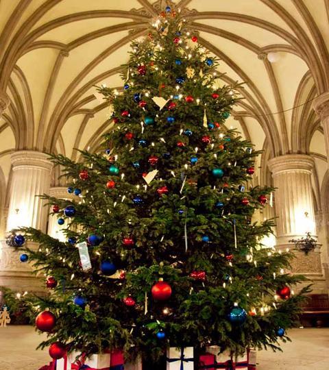 weihnachtsbaum rathaus hamburg