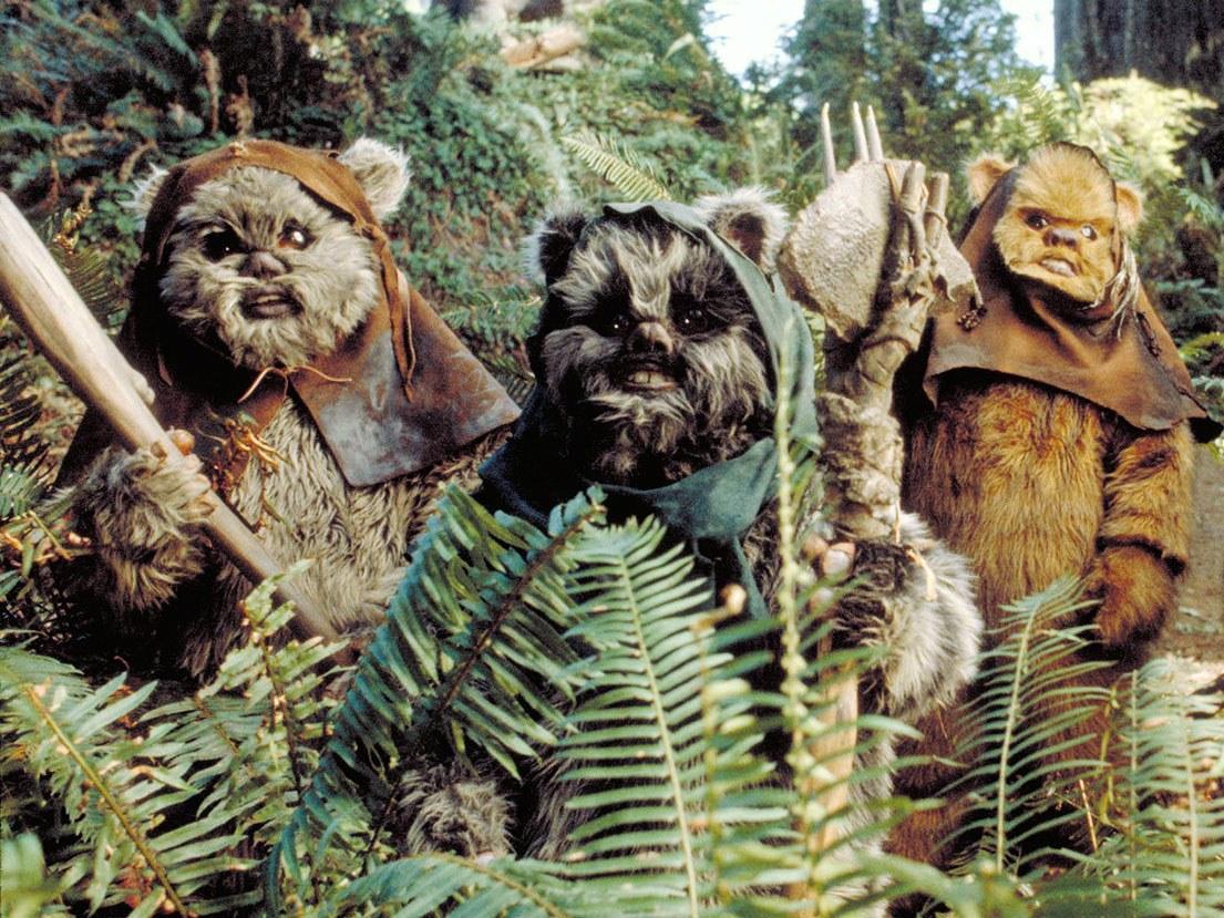 EwokTA