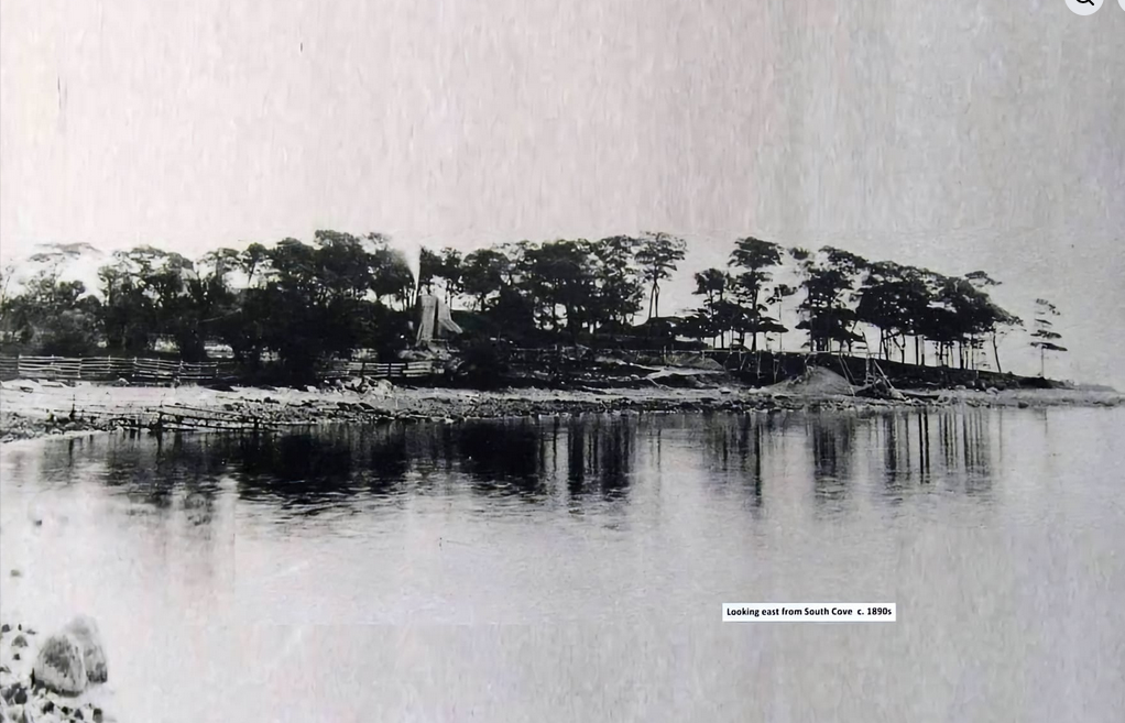 Screenshot 2026-04-06 164233