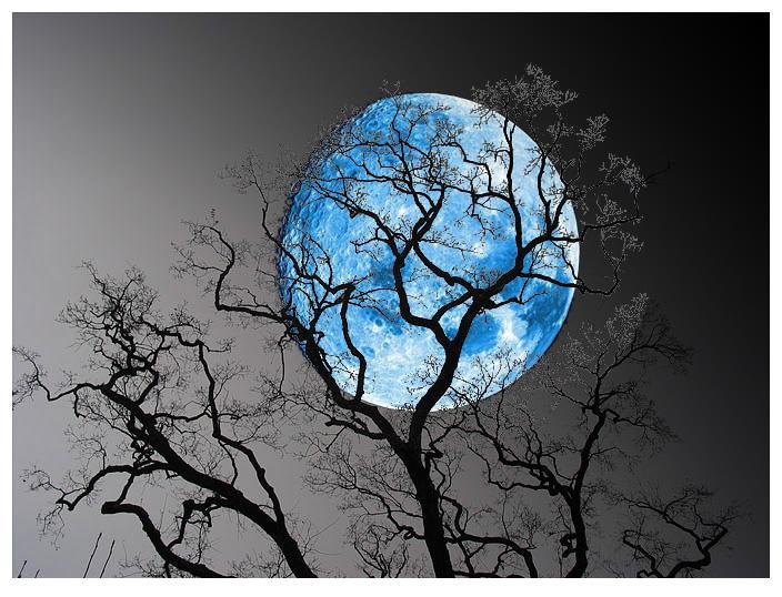 blue moon1