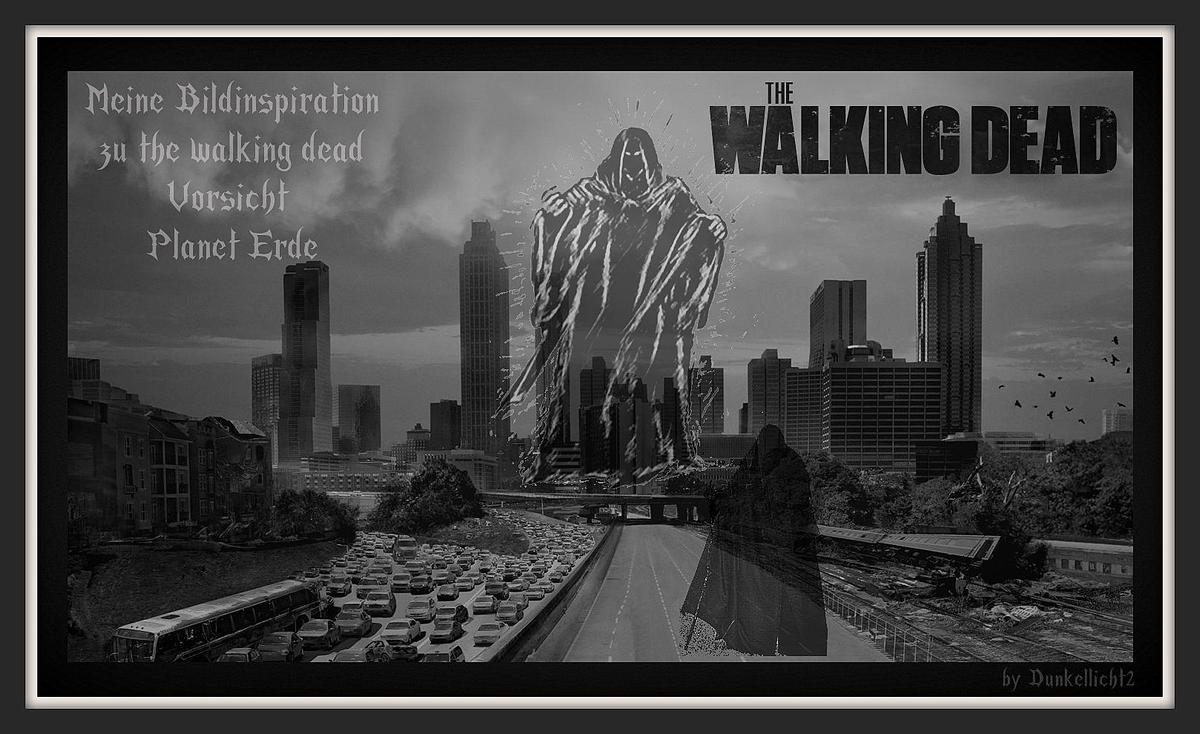 2e193d walking dead - Inspiration - Seel