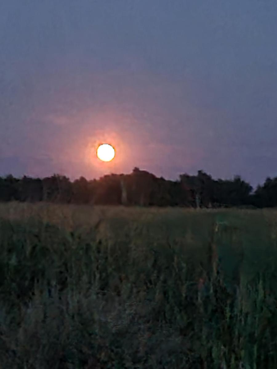 Moon 1