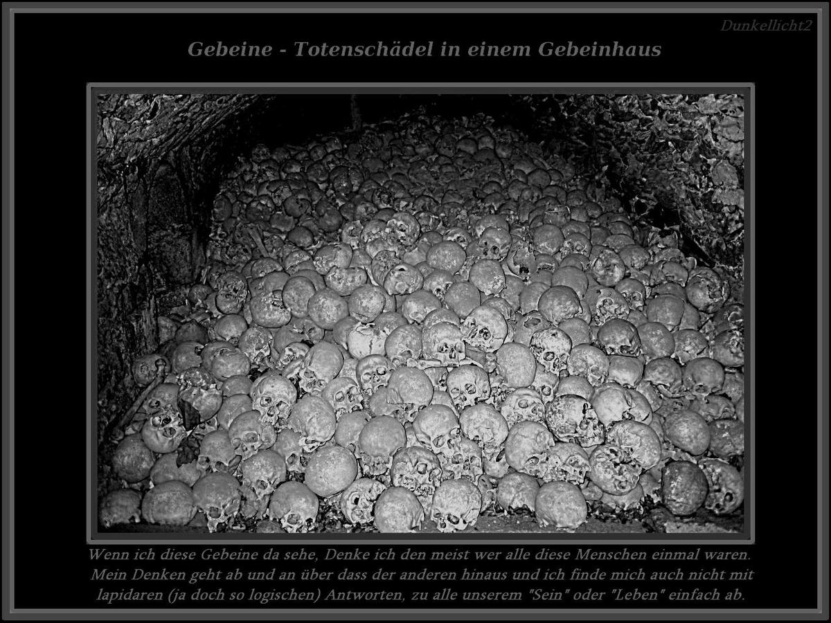 2e2e93 Gebeine von Menschen 1