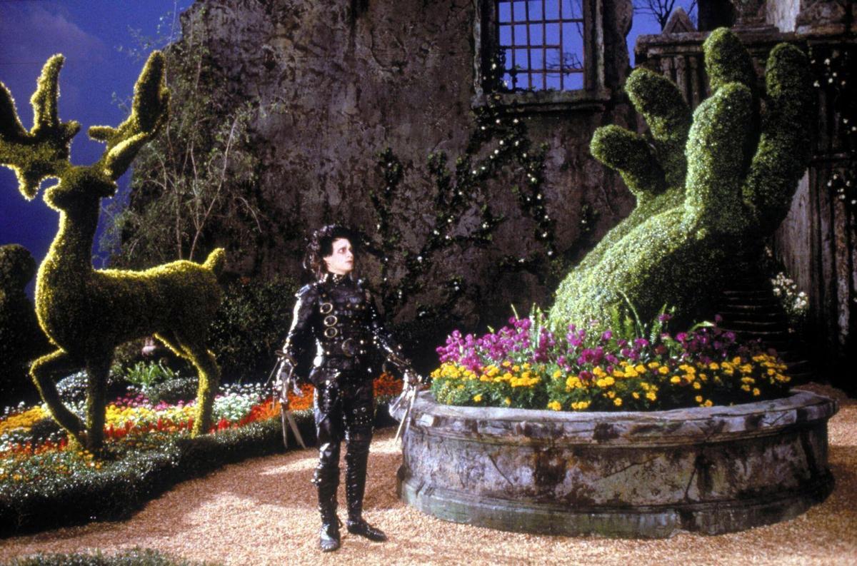 edward scissorhands-fox2