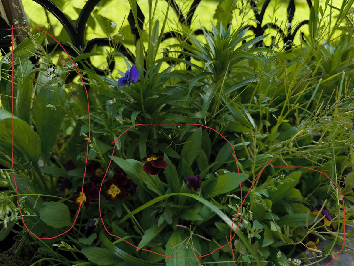 xtte2secdafs IMG 20260426 164823