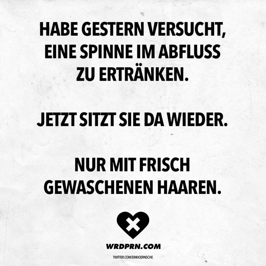 Bild 2026-05-20 221230105