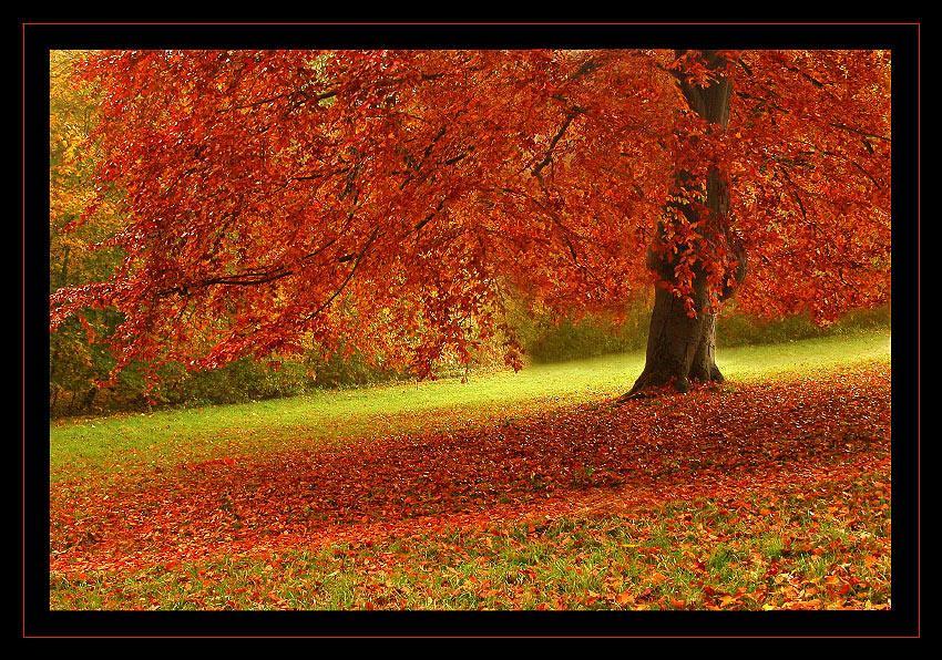 Landschaftsphotographie by Hartmut Lerch