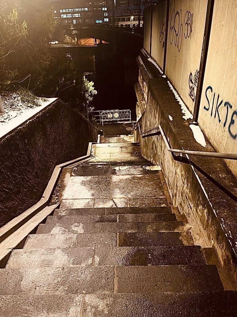 IMG 1725