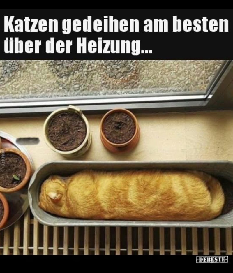 6946117-5dbddc862509211c608852cc150eeba7