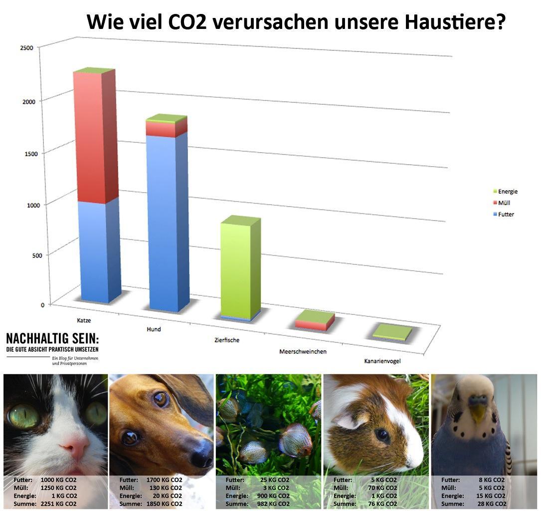 Haustiere CO2 Verbrauch - Copy