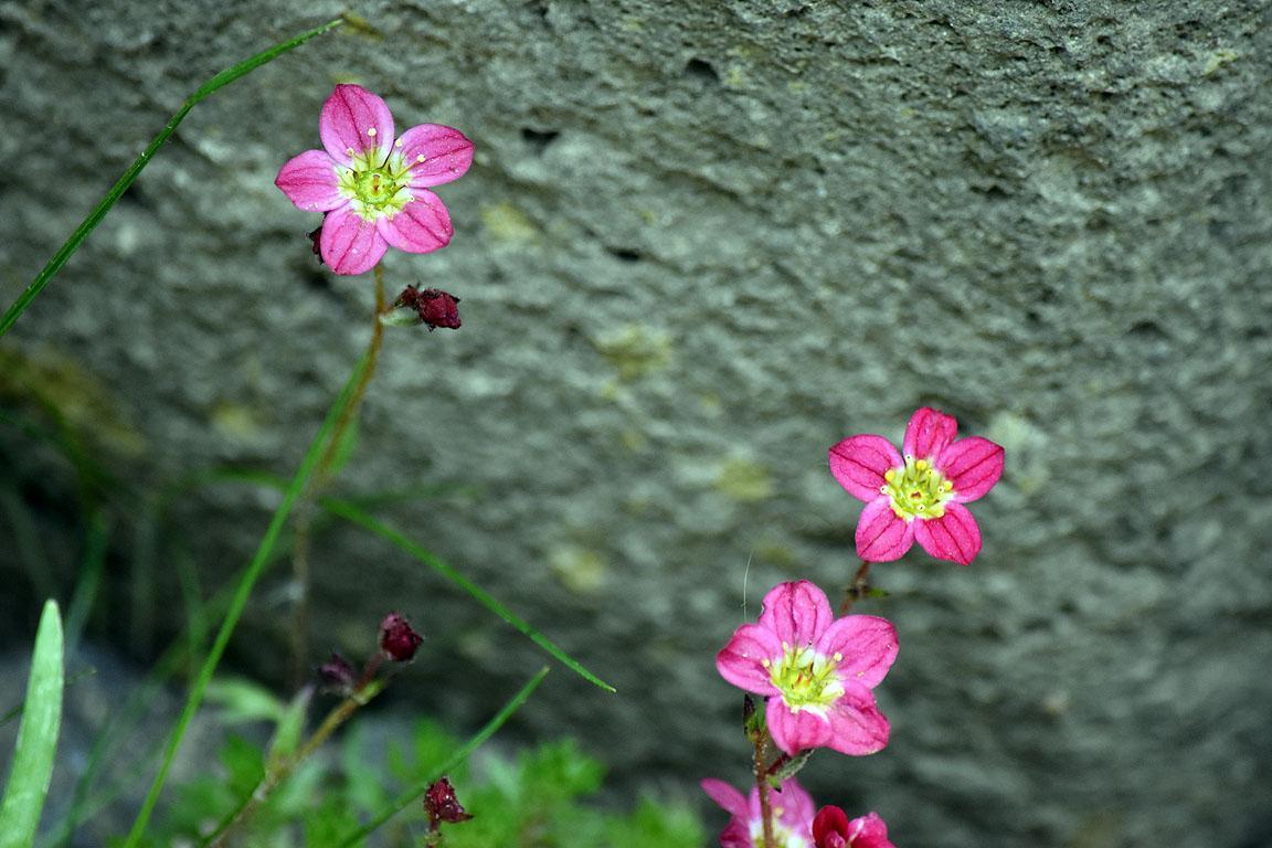 5837eb91-88cc-4dce-b5d1-4dbee5cd09c4