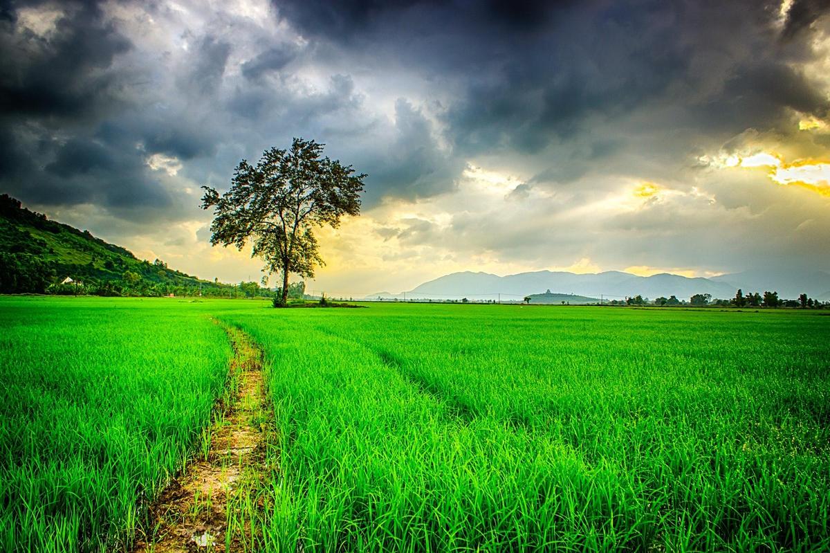 clouds-cloudy-countryside-236047-1