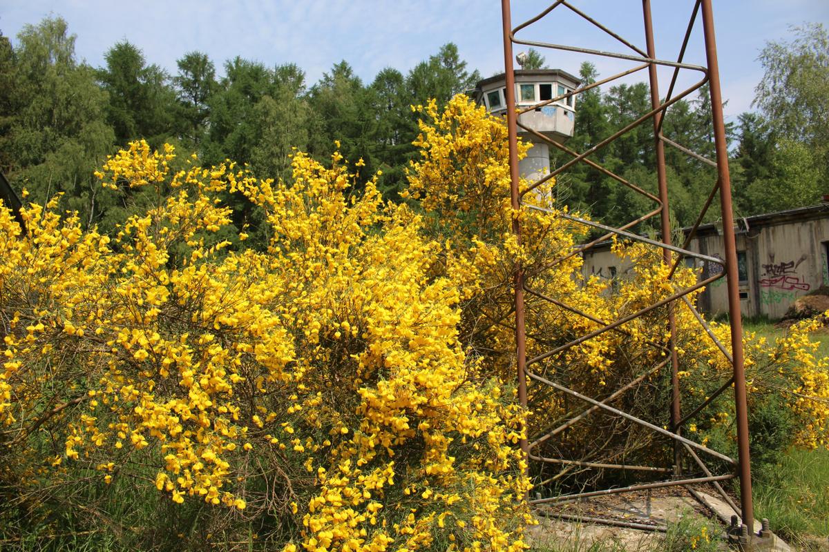 Ausflug Duensen  Harpstedt 84