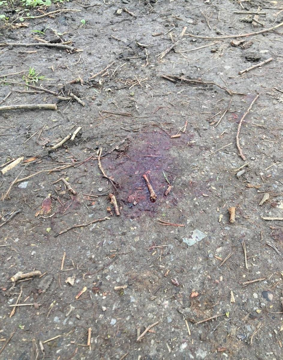 Screenshot 20260404 181453 Chrome