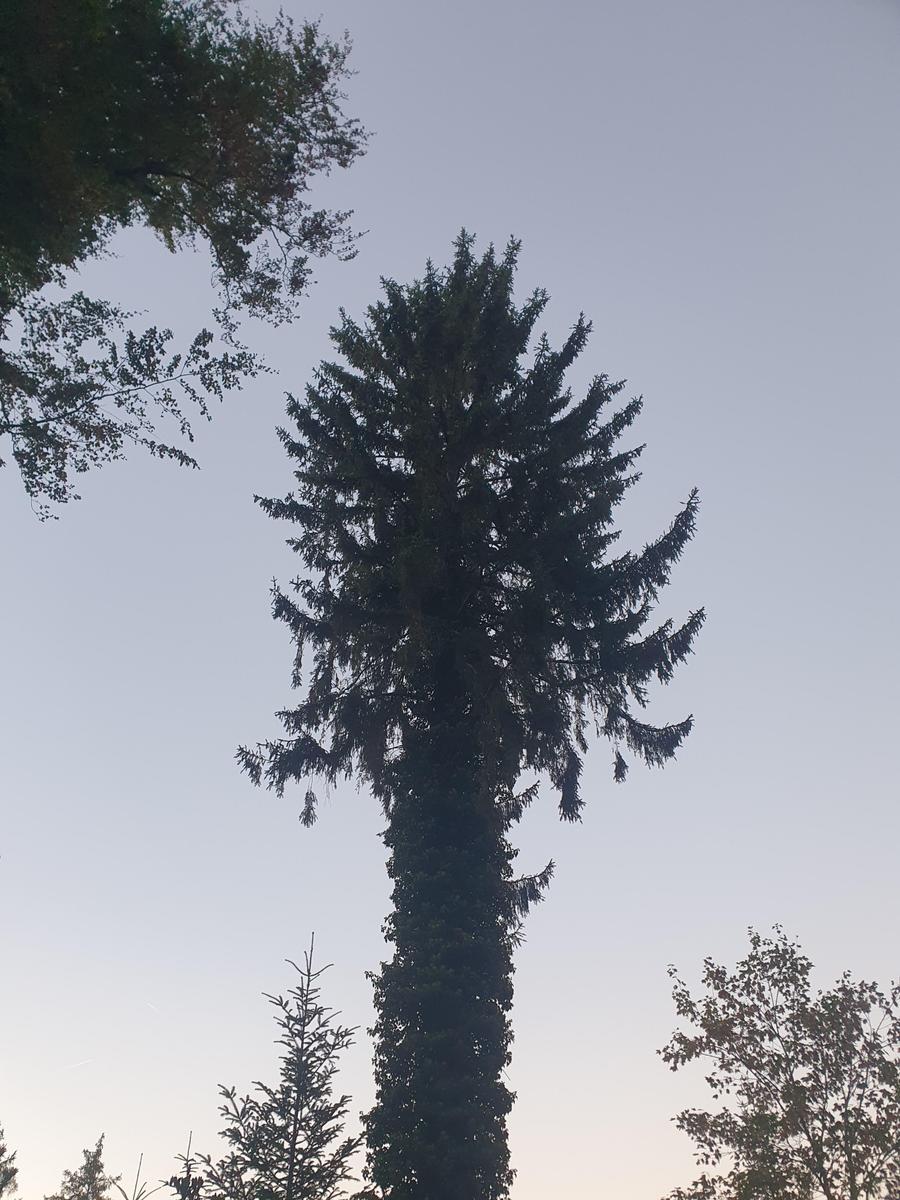 17913057338643028393934123891099