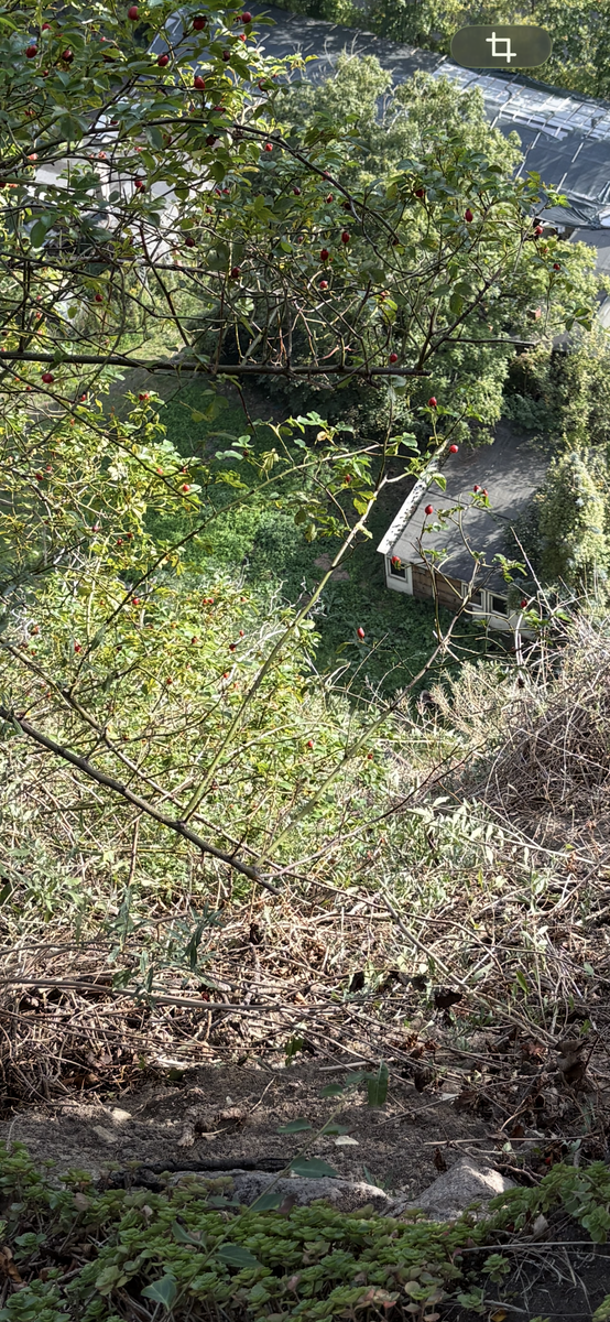 IMG 7428