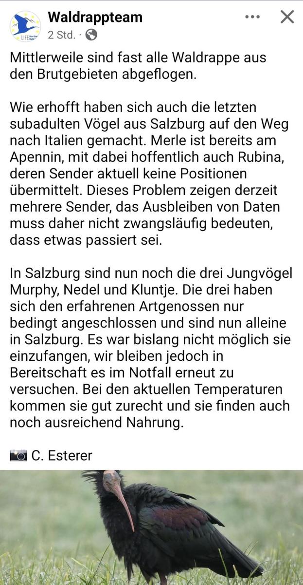 Screenshot 20251206 123748 Facebook