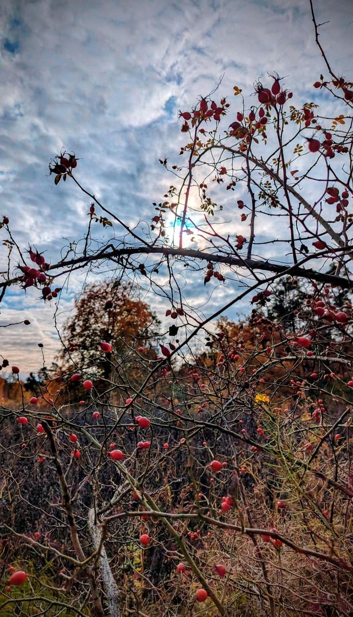 f570a579-1a6d-40fd-b650-7e20f39967ed cop