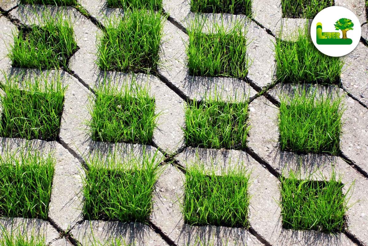 Rasengittersteine-mit-Gras-in-der-Suedos