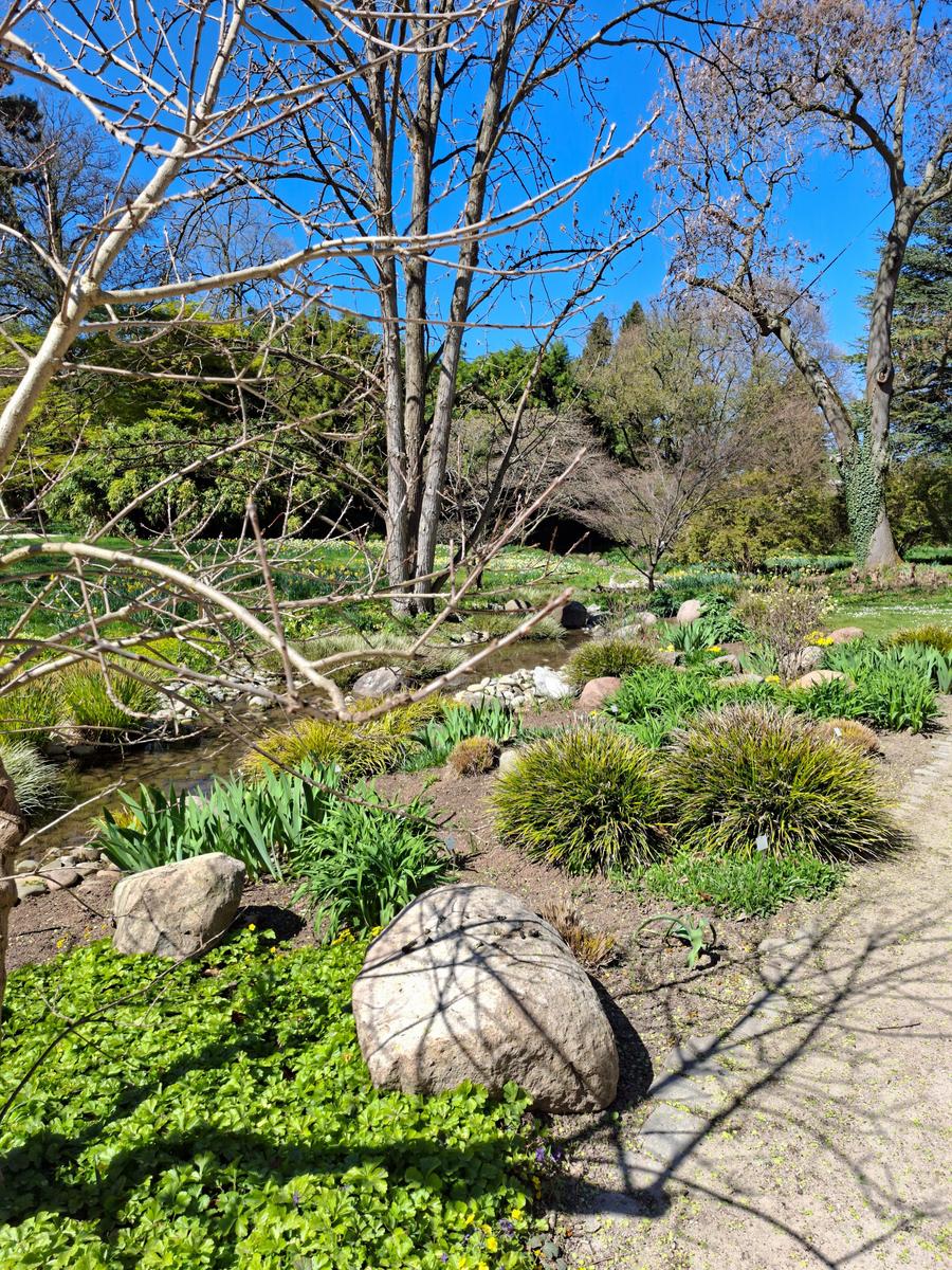 Palmengarten 005