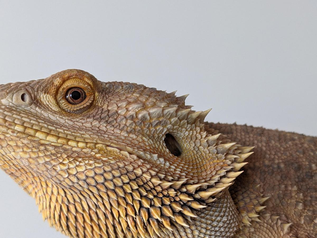 between scales
