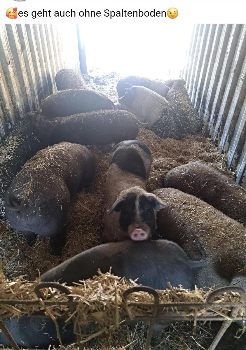 Screenshot 20260125 120354 Chrome