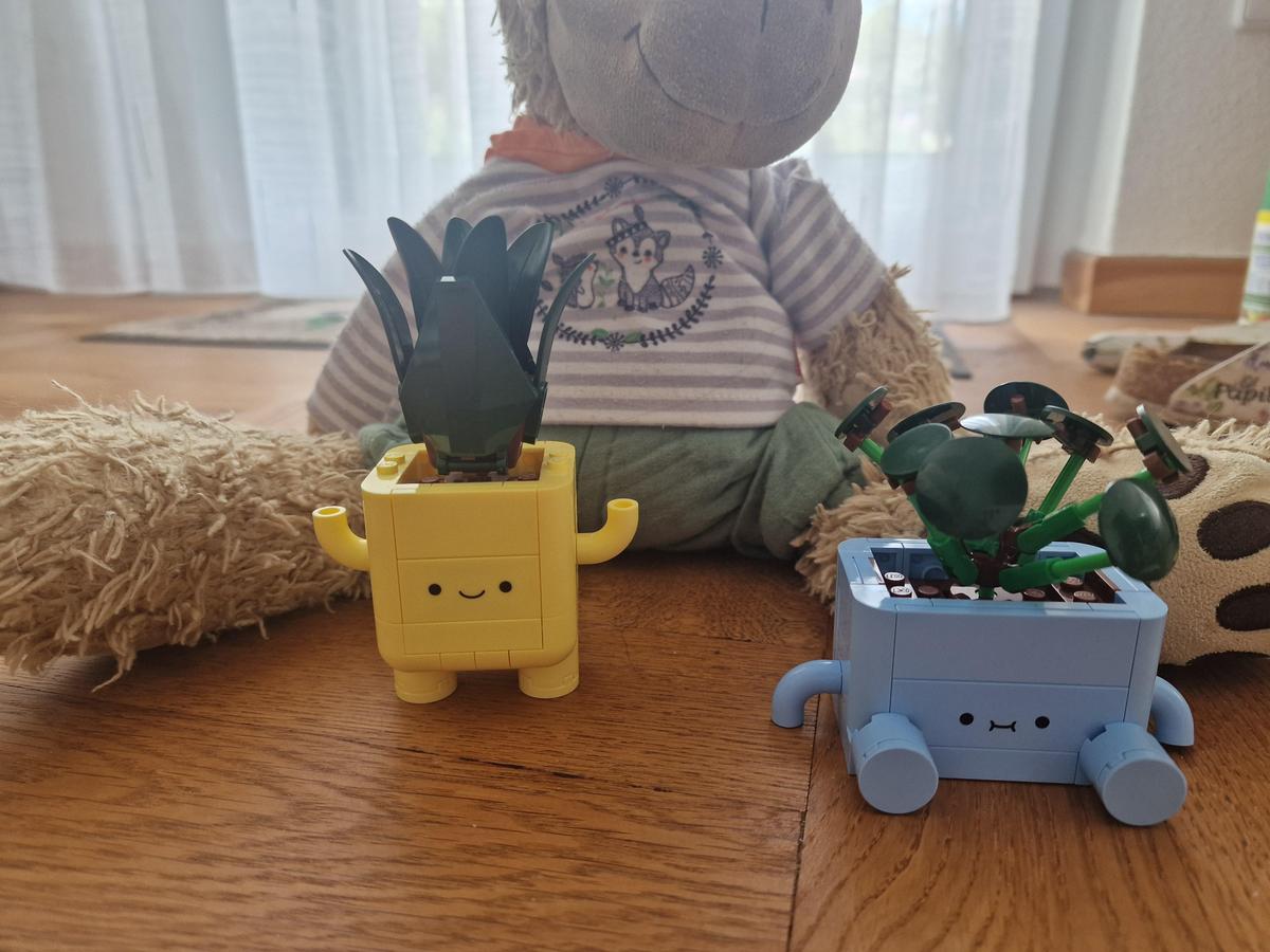 20260607 100155