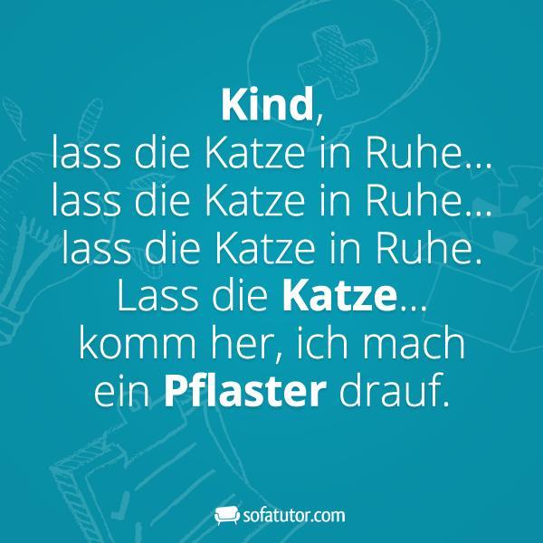 Facebook-Spruch-Katze