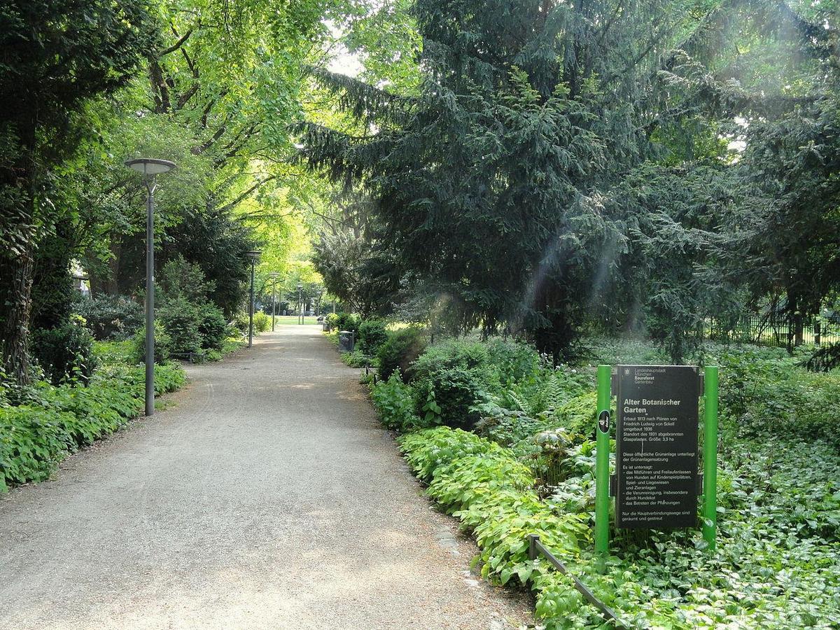 Alter botanischer Garten