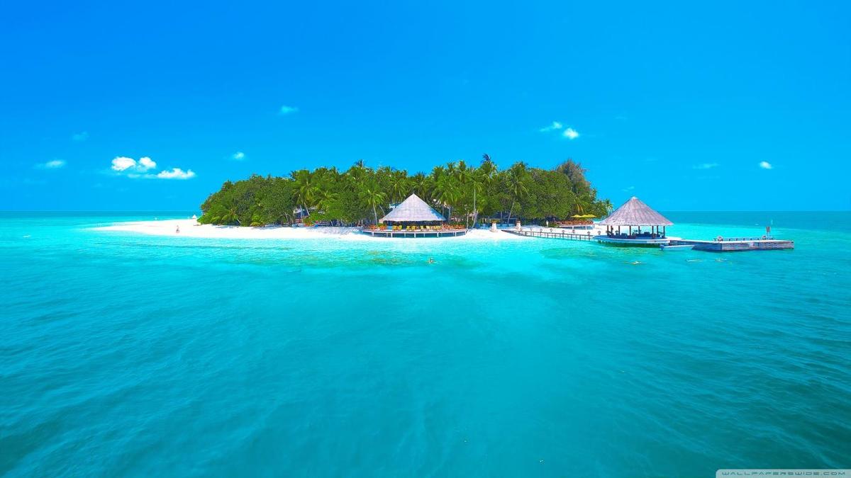 tropical paradisewallpaper1366x768