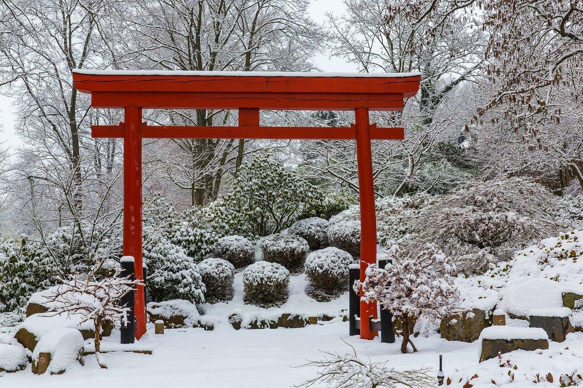 forumJGK Torii-2