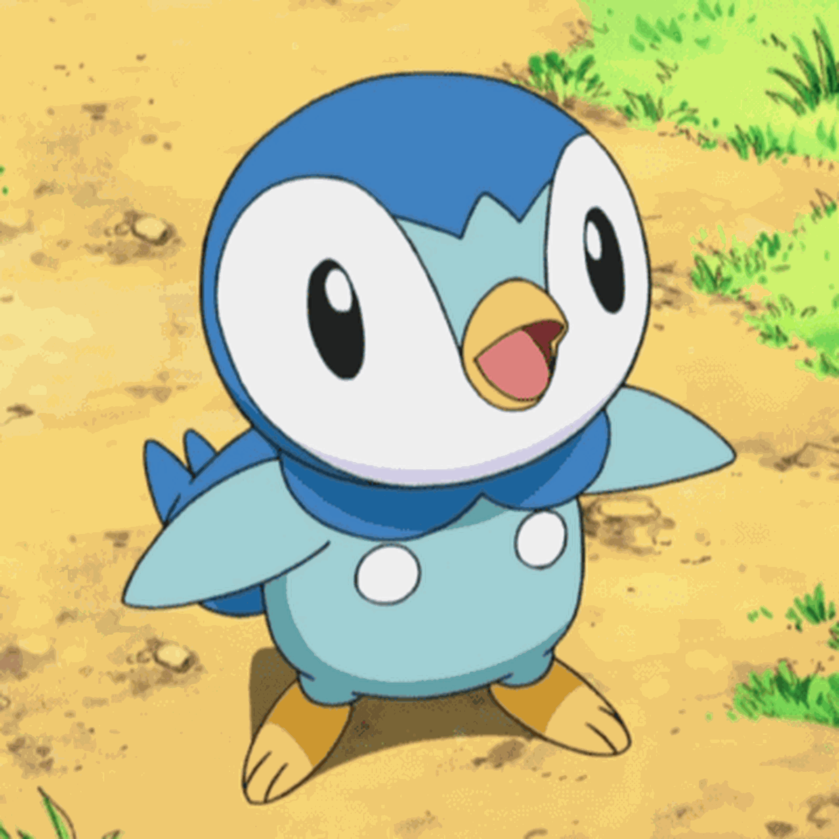 pokemon piplup