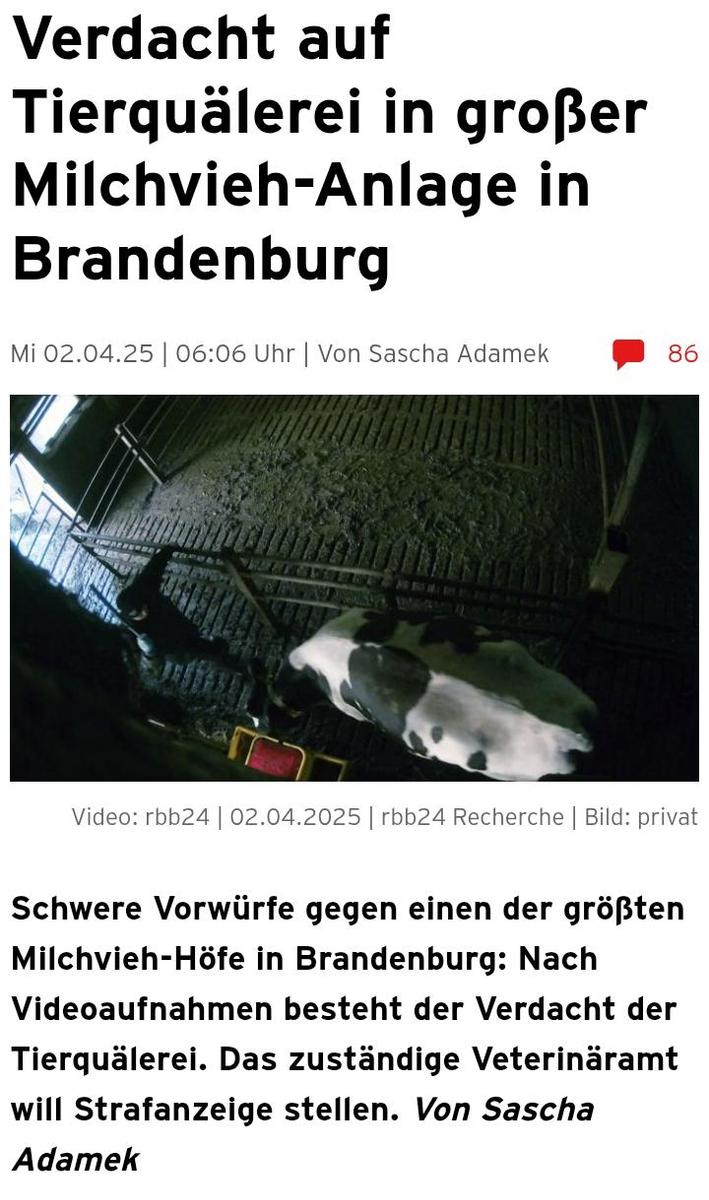 Screenshot 20250402 161152