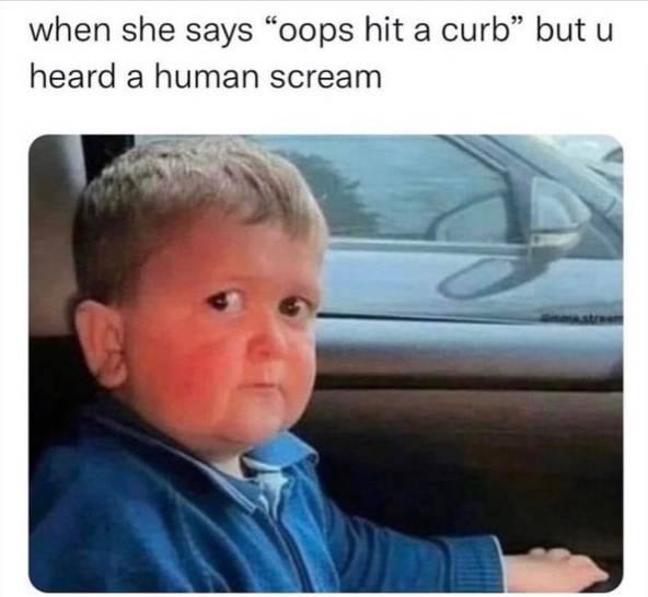 she-says-oops-hit-curb-but-u-heard-human