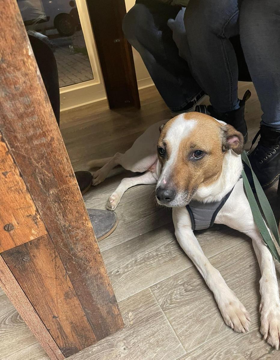 Screenshot 2025-12-15-15-16-47-894 com.w