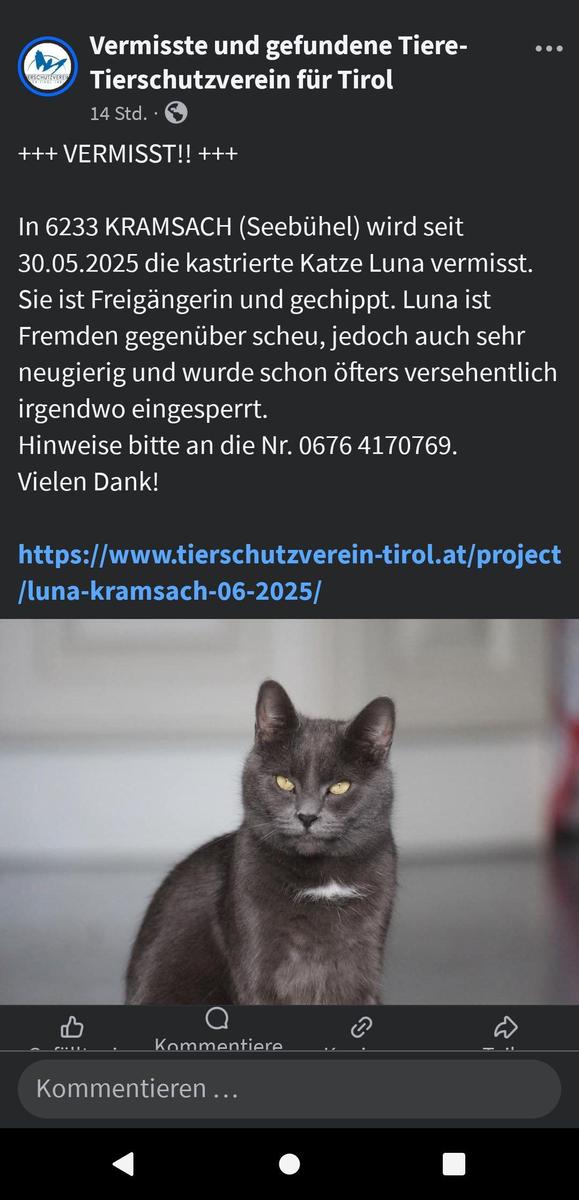 Screenshot 20250604-234755