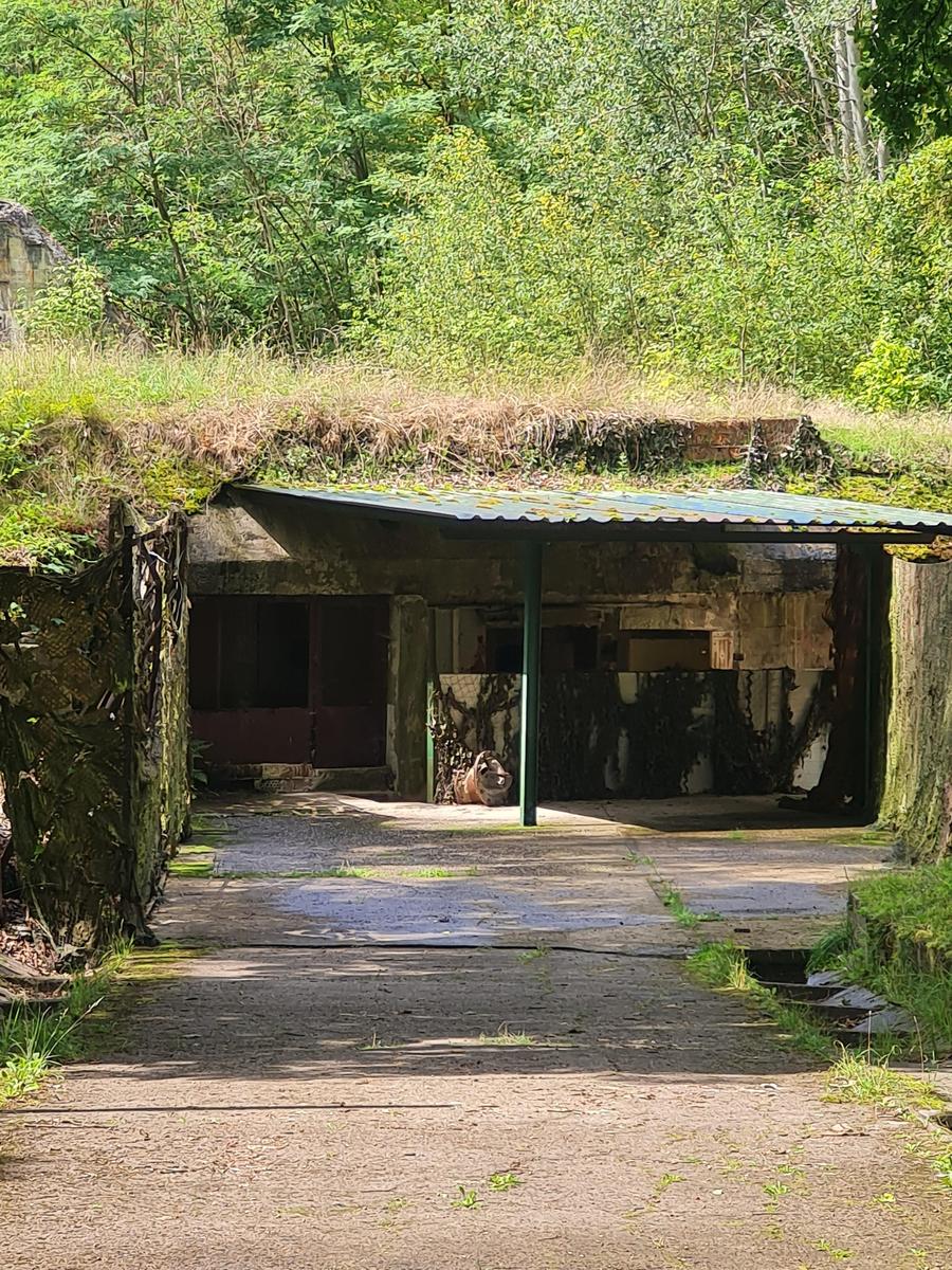 Wnsdorf7